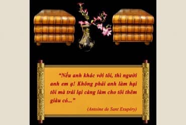 THỜI LUẬN 6
