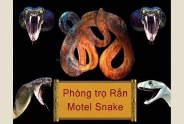  PHÒNG KHÁCH - Mr. QUÂN - MOTEL SNAKE 
