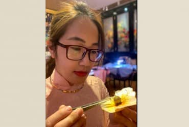 NGHỆ NHÂN: NGUYỄN TRANG KIM LINH