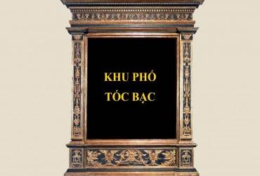 KHU PHỐ TÓC BẠC