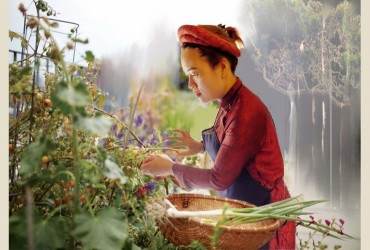 NGHỆ NHÂN: HOÀNG THỊ LÝ