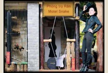 - LÊ HỒ PHƯƠNG THẢO -