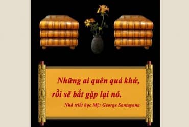 THỜI LUẬN 42 