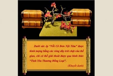 THỜI LUẬN 8