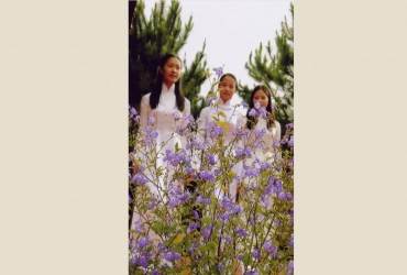 HÌNH SINH HOẠT NGHỆ NHÂN VÀ HOA FORGET ME NOT