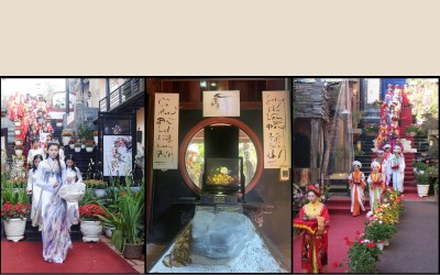 hoi-thieu-nu-ruoc-phan-ve-cho-hoa-tai-bao-bang-hoa-tri-ky-huu