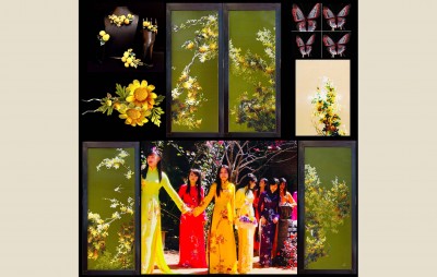 5-tri-ky-huu-voi-hoa-mimoza